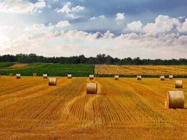 Farm Credit Land Grants