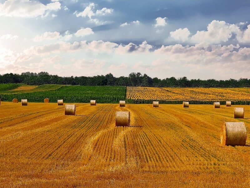 Farm Credit Land Grants